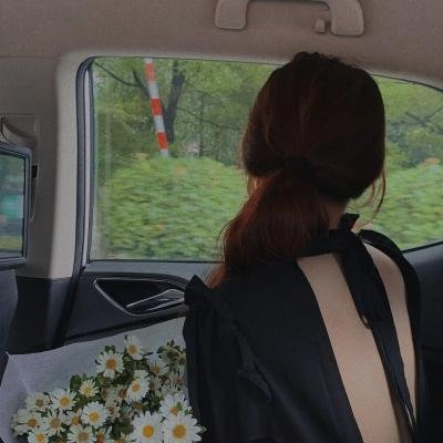玻璃花与毁坏的世界