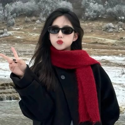 超人与蝙蝠侠：全民公敌